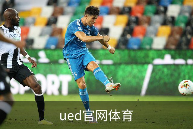 ued官网体育 公司简介